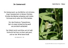 Im-Sommerwald-Dauthendey.pdf